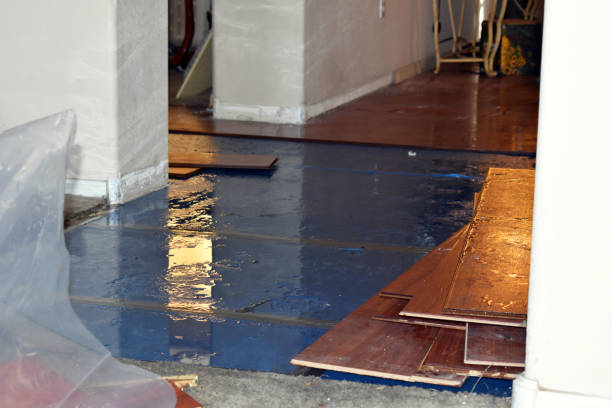 Professional Basement Flood Cleanup technician working in Milford, NJ